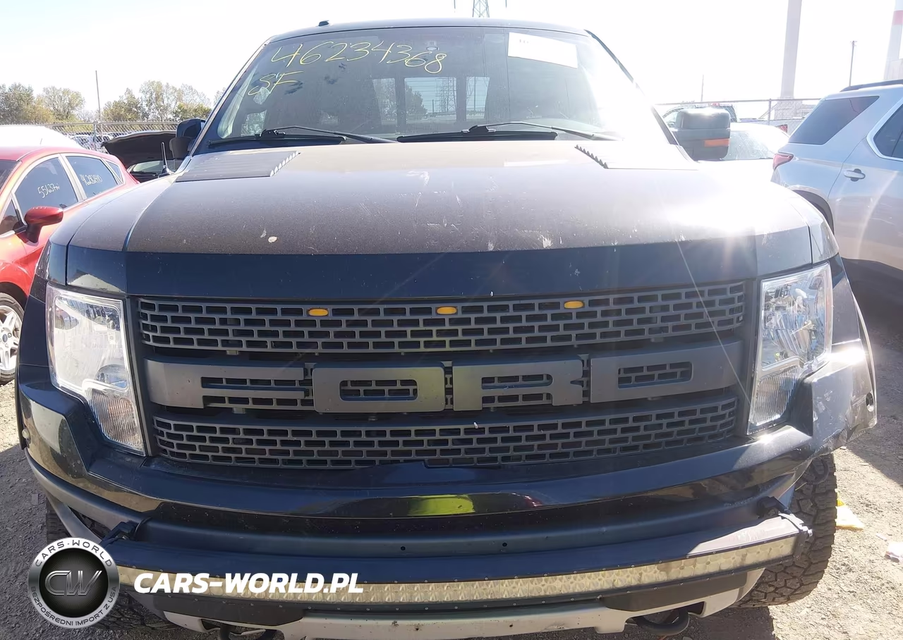 2010 Ford F-150 Svt Raptor VIN:1FTEX1EV5AFA52542 - 12
