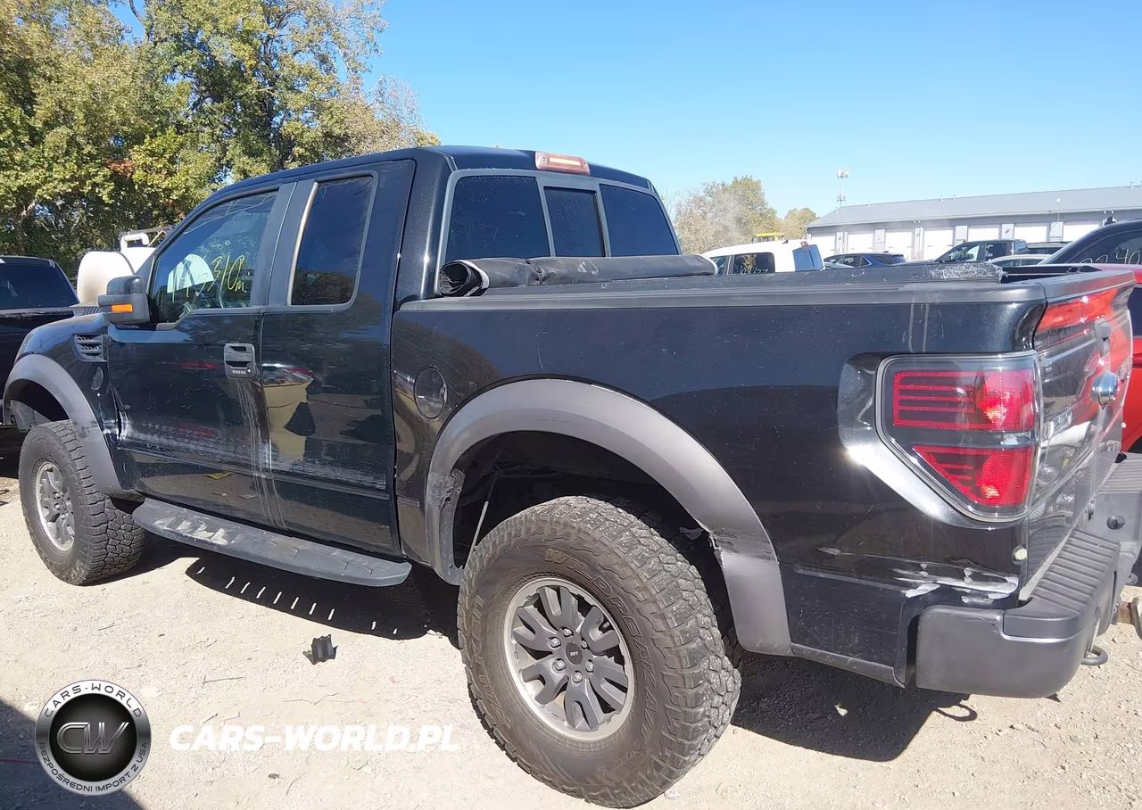 2010 Ford F-150 Svt Raptor VIN:1FTEX1EV5AFA52542 - 17