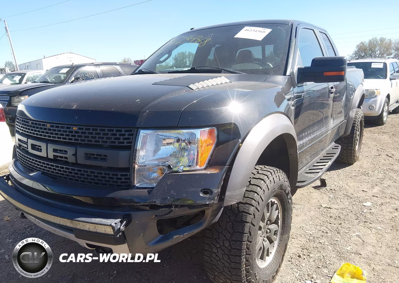 2010 Ford F-150 Svt Raptor VIN:1FTEX1EV5AFA52542 - 2