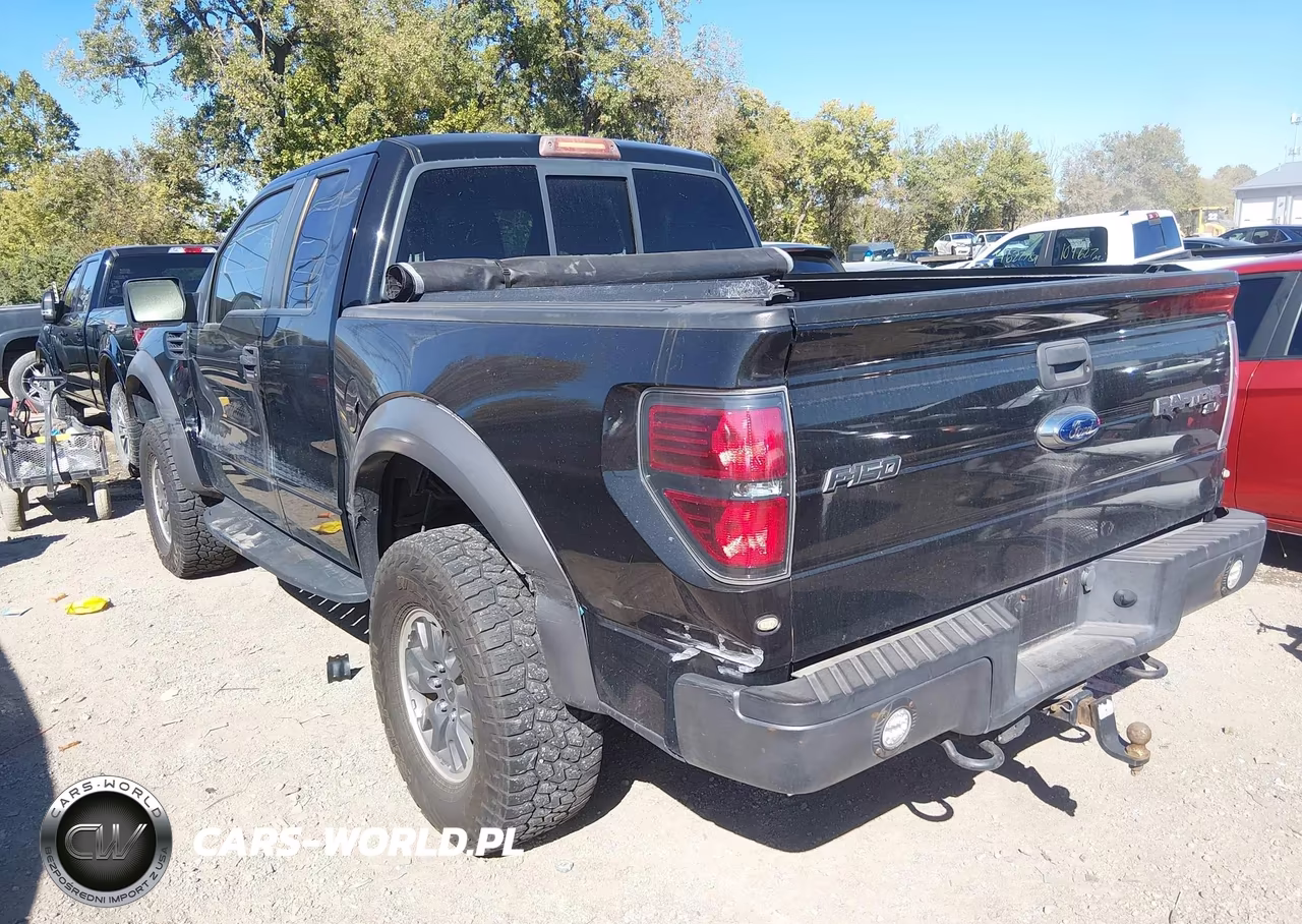 2010 Ford F-150 Svt Raptor VIN:1FTEX1EV5AFA52542 - 3
