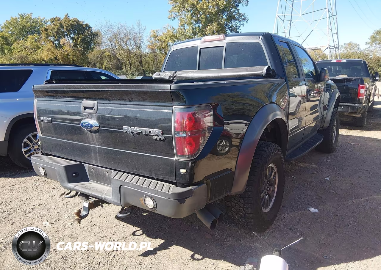 2010 Ford F-150 Svt Raptor VIN:1FTEX1EV5AFA52542 - 4