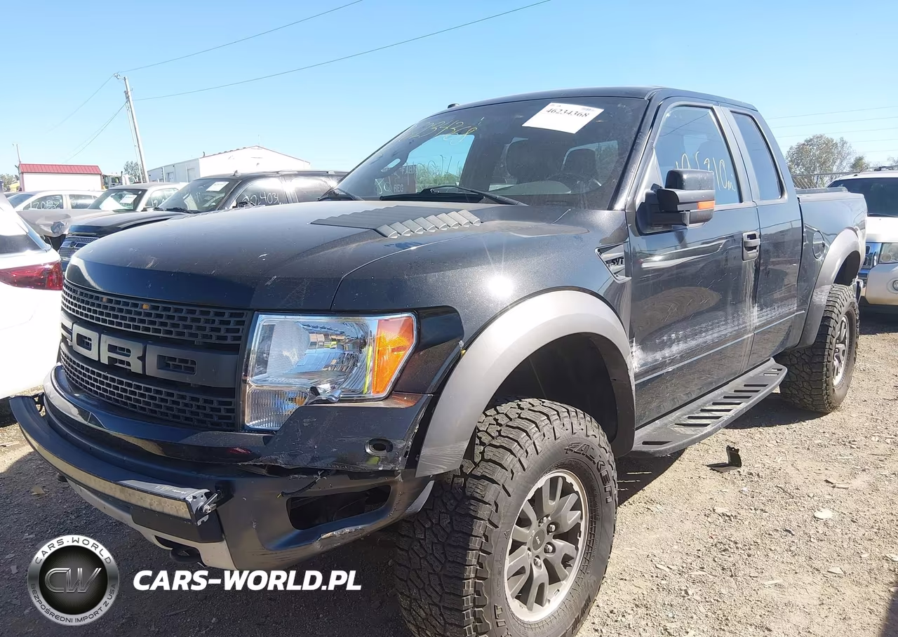 2010 Ford F-150 Svt Raptor VIN:1FTEX1EV5AFA52542 - 6
