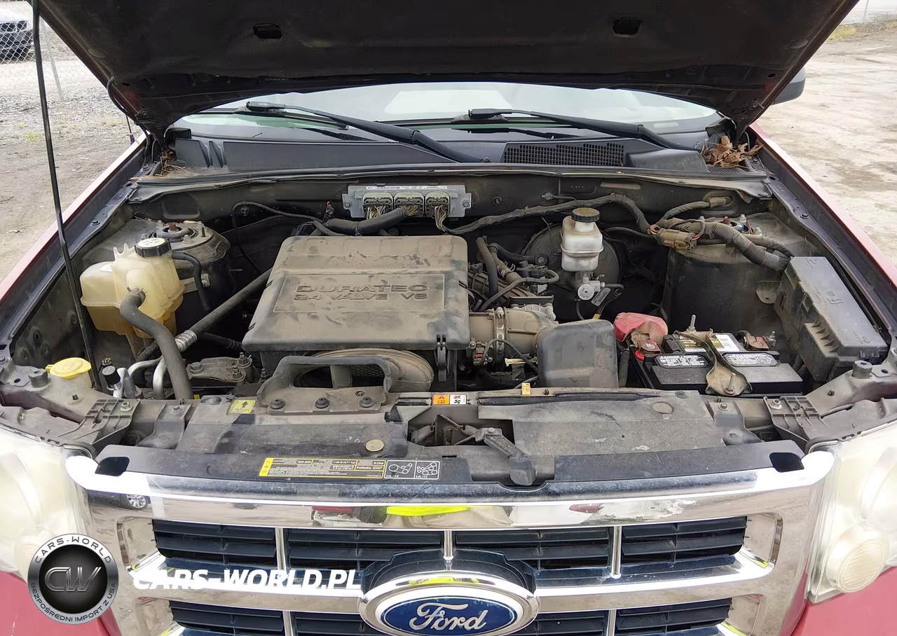 2010 Ford Escape Xlt VIN:1FMCU0DG7AKC44142 - 10