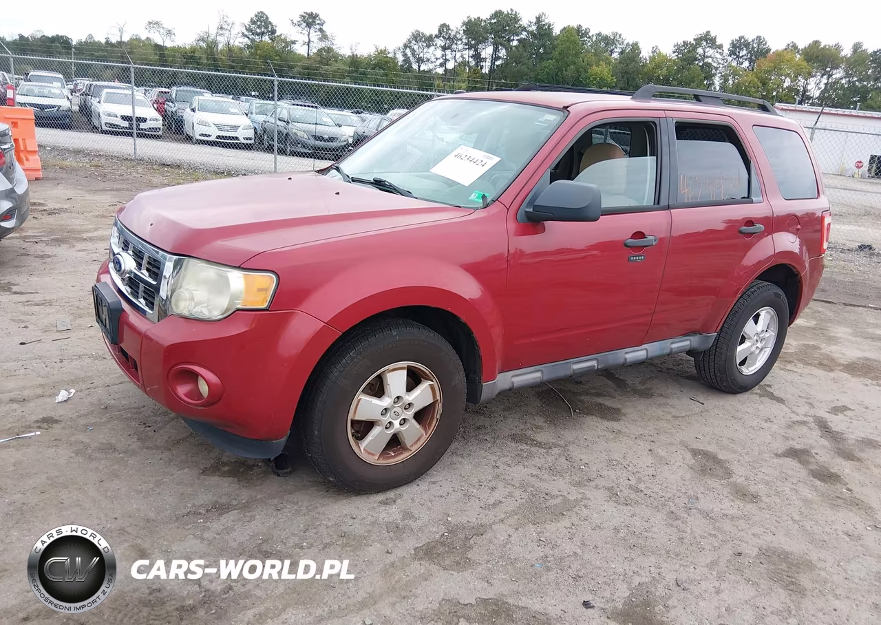 2010 Ford Escape Xlt VIN:1FMCU0DG7AKC44142 - 2