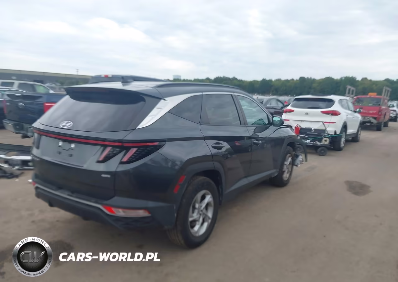 2022 Hyundai Tucson Sel VIN:5NMJBCAE2NH123980 - 4