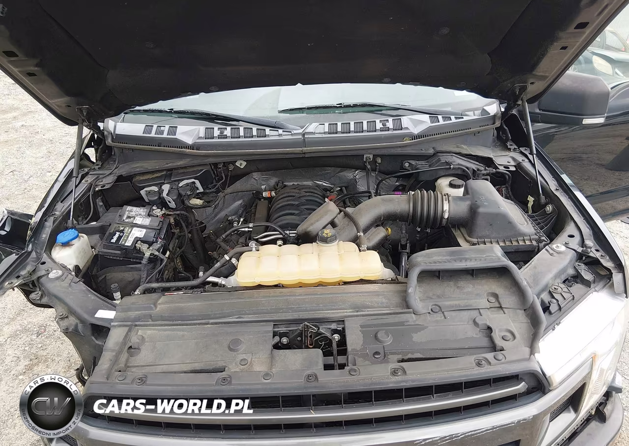 2019 Ford F-150 Xlt VIN:1FTFX1E57KKC06648 - 10