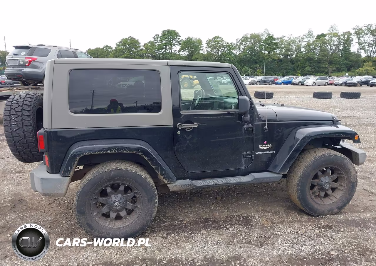 2009 Jeep Wrangler Sahara VIN:1J4FA54109L729029 - 13