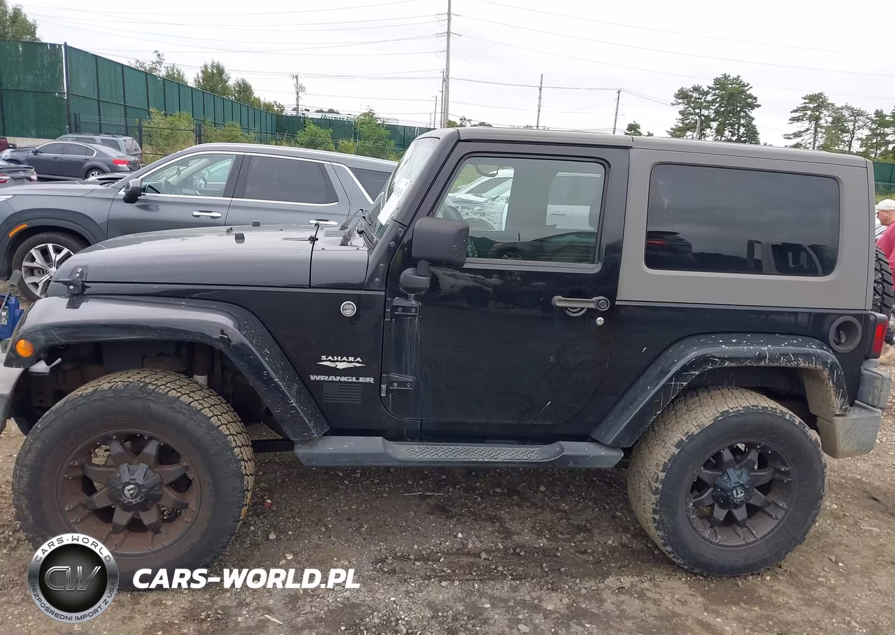 2009 Jeep Wrangler Sahara VIN:1J4FA54109L729029 - 14