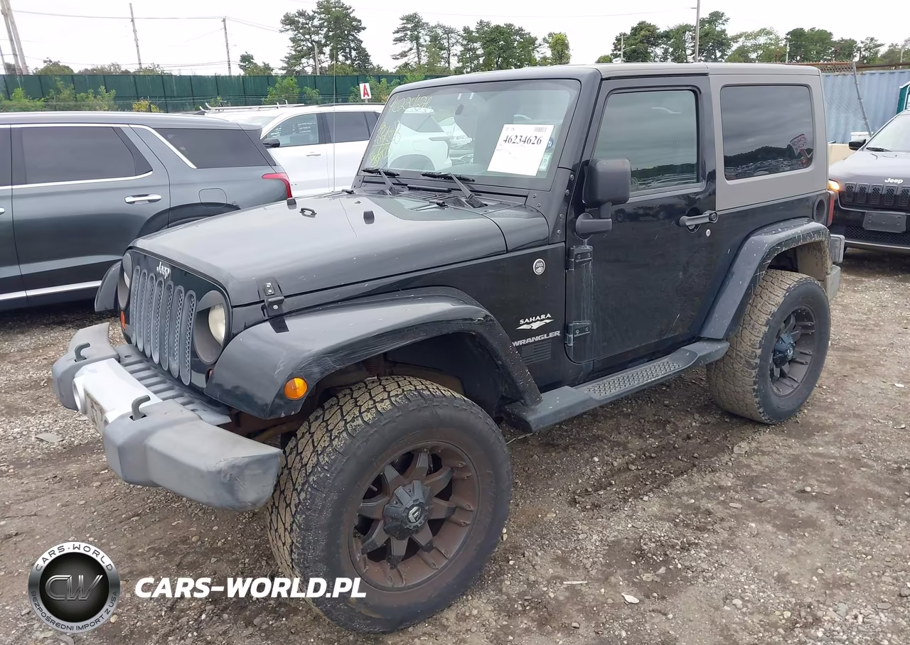 2009 Jeep Wrangler Sahara VIN:1J4FA54109L729029 - 2