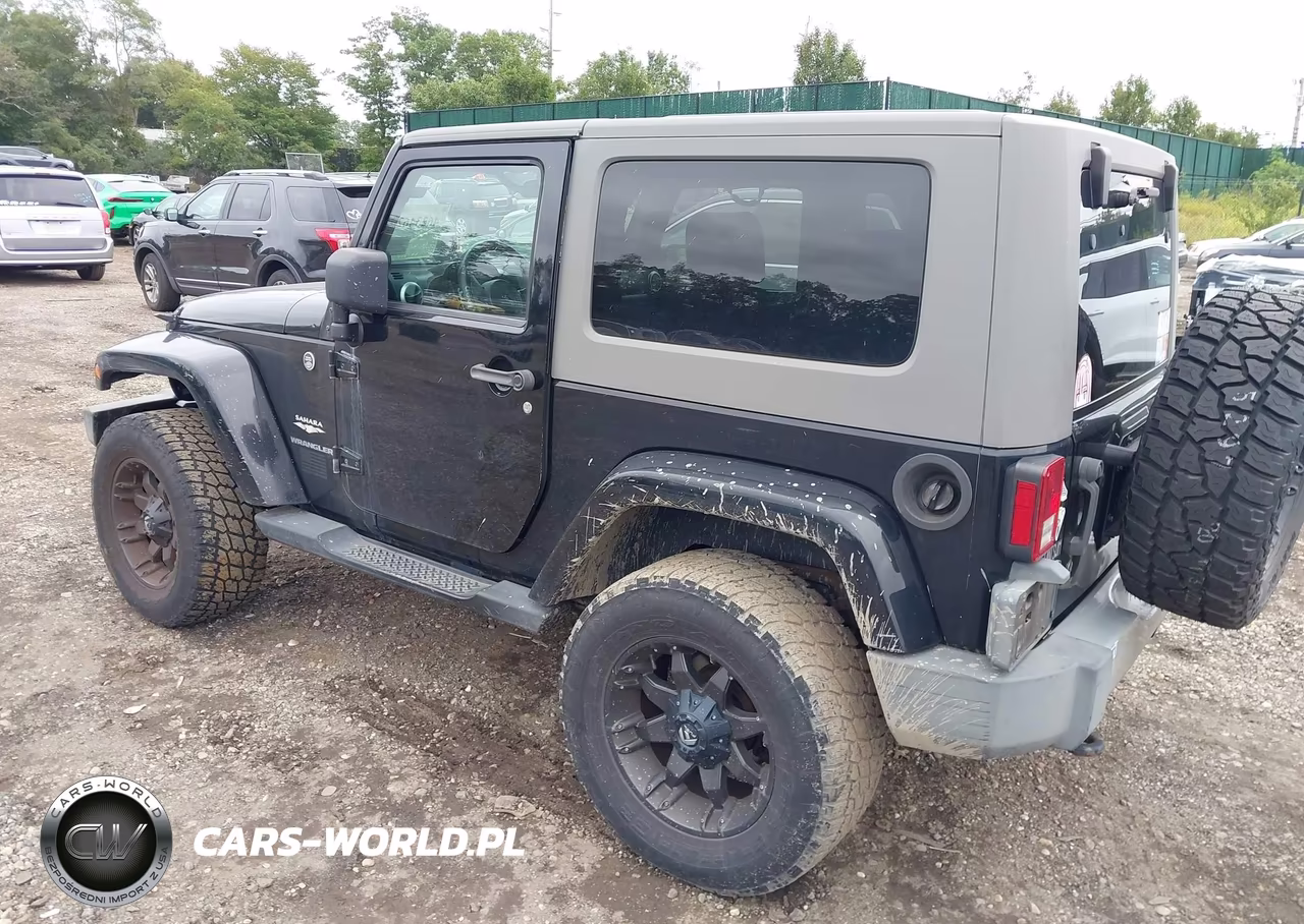 2009 Jeep Wrangler Sahara VIN:1J4FA54109L729029 - 3