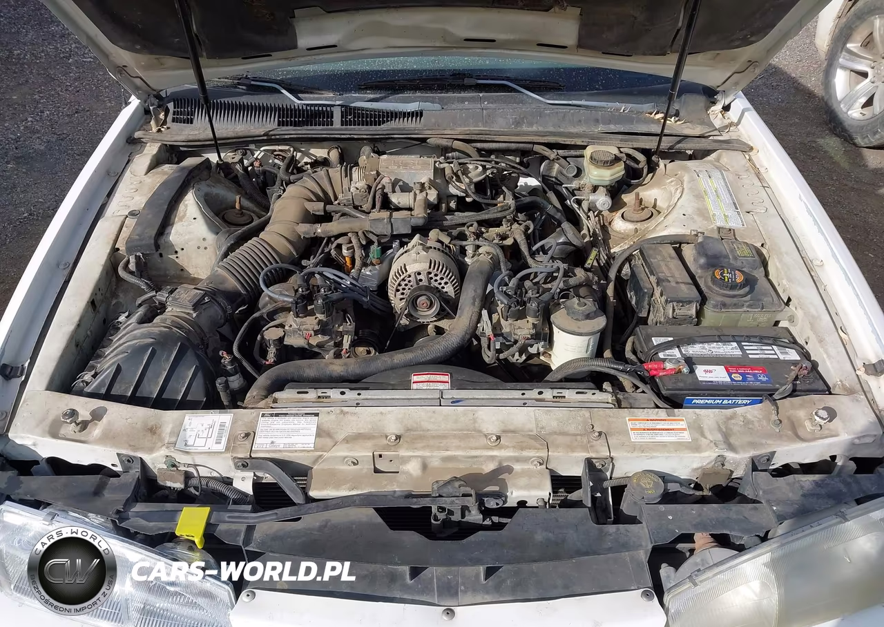 1997 Ford Thunderbird Lx VIN:1FALP62W7VH171386 - 10