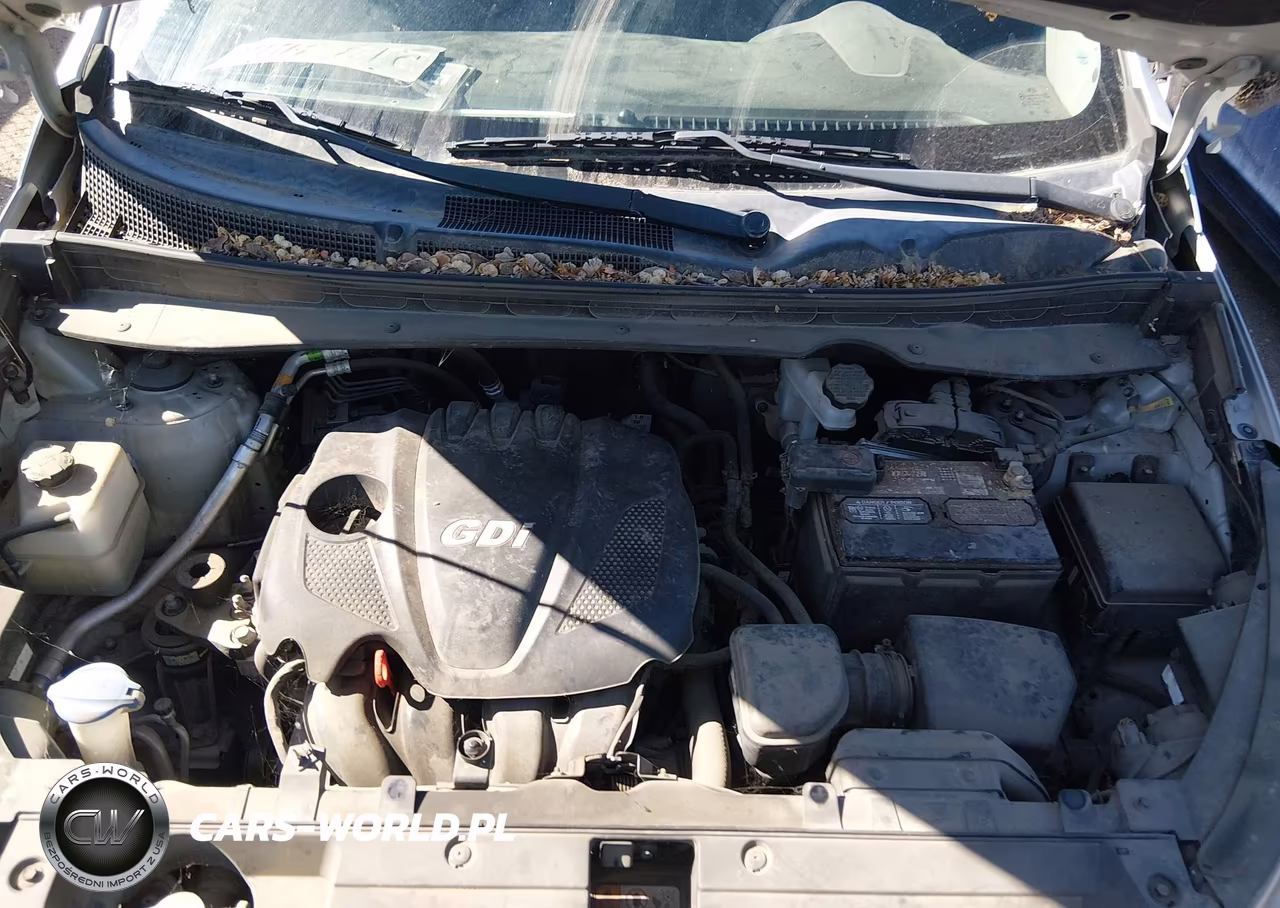 2014 Kia Sportage Lx VIN:KNDPB3AC4E7611702 - 10