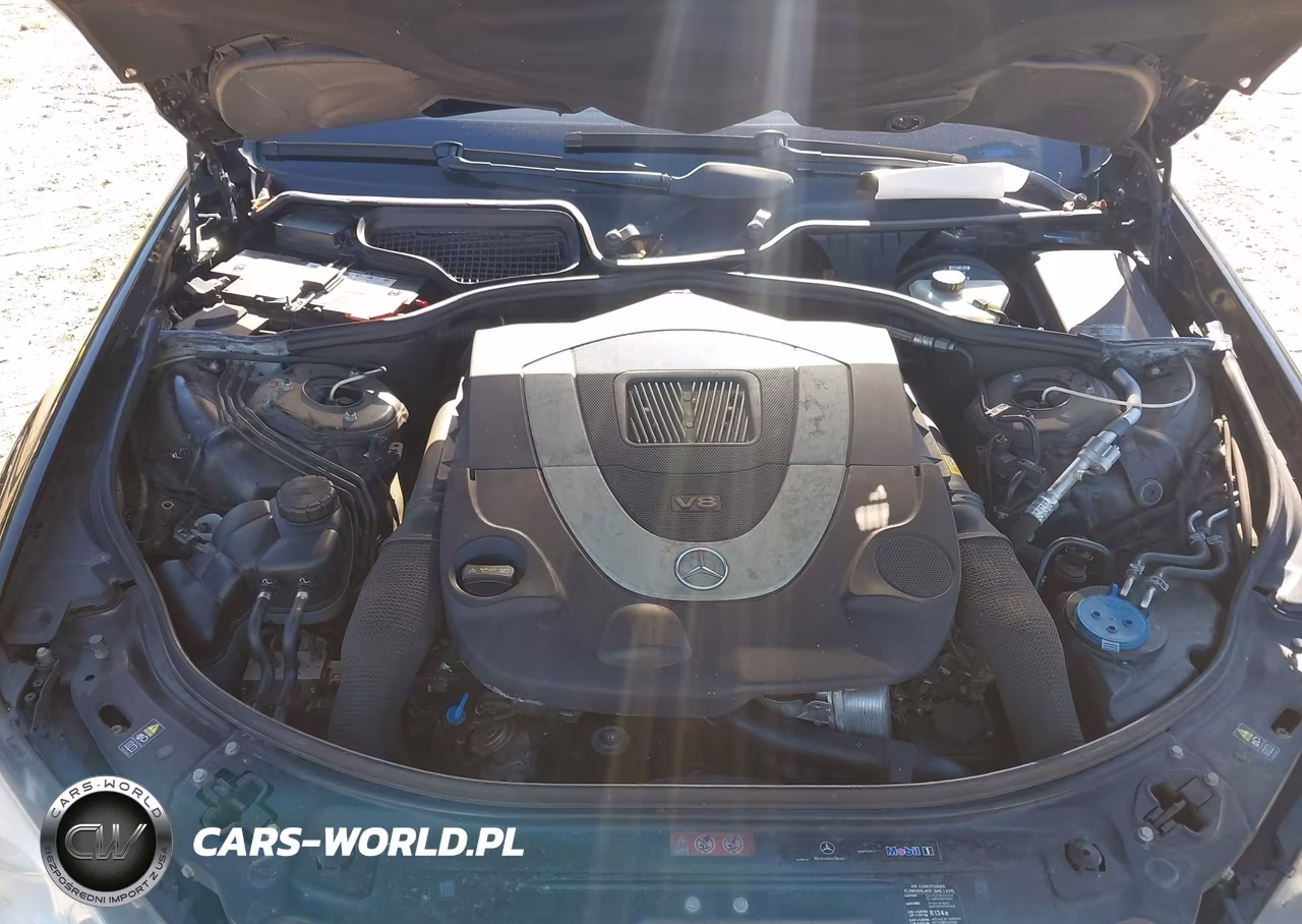 2009 Mercedes-Benz S 550 VIN:WDDNG71XX9A260523 - 10