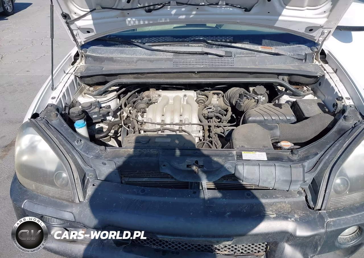 2005 Hyundai Tucson Gls-Lx VIN:KM8JN12D75U083644 - 10
