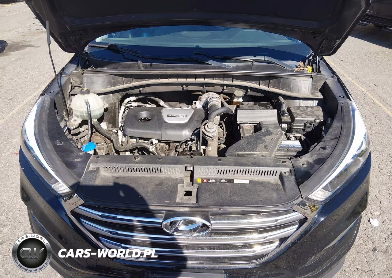 2017 Hyundai Tucson Limited VIN:KM8J3CA24HU390744 - 10