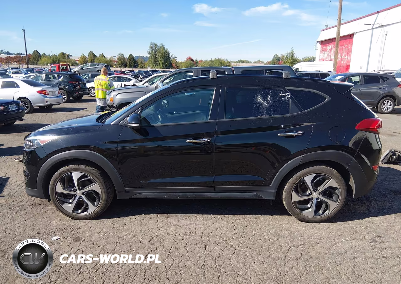 2017 Hyundai Tucson Limited VIN:KM8J3CA24HU390744 - 14