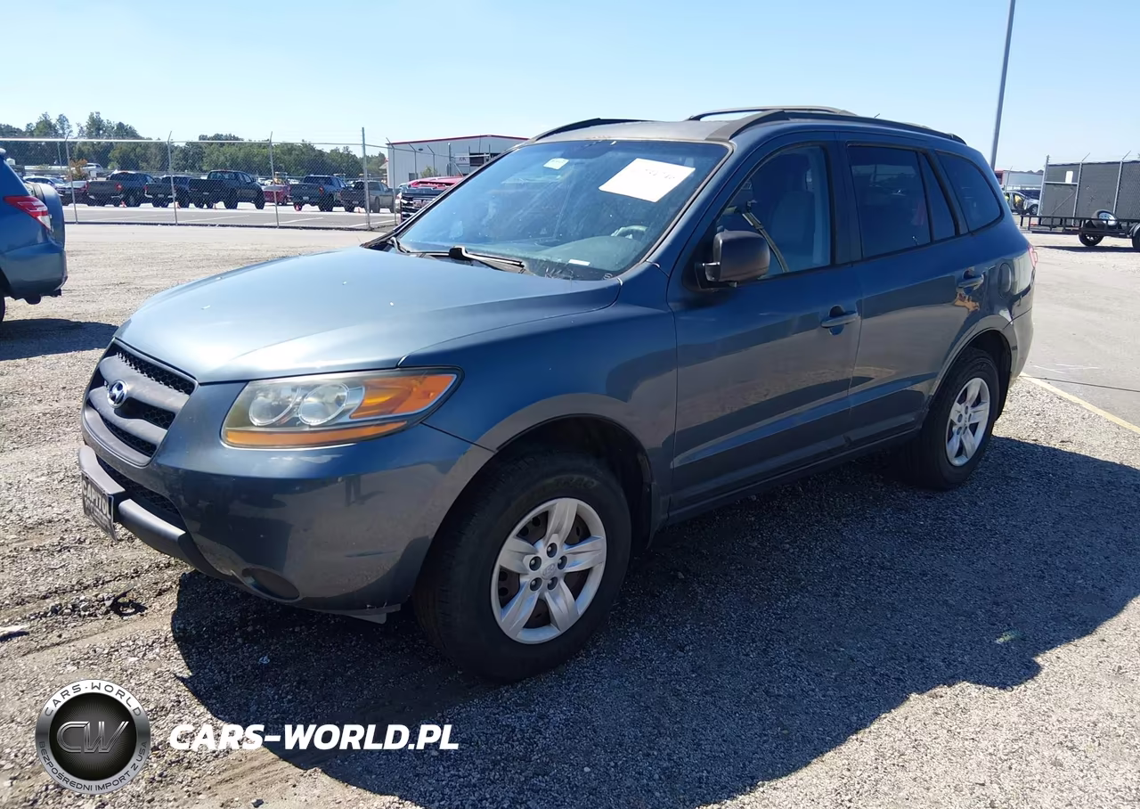 2009 Hyundai Santa Fe Gls VIN:5NMSG13DX9H247452 - 2