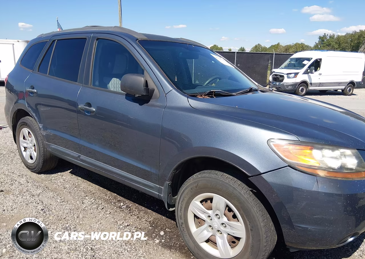 2009 Hyundai Santa Fe Gls VIN:5NMSG13DX9H247452 - 6