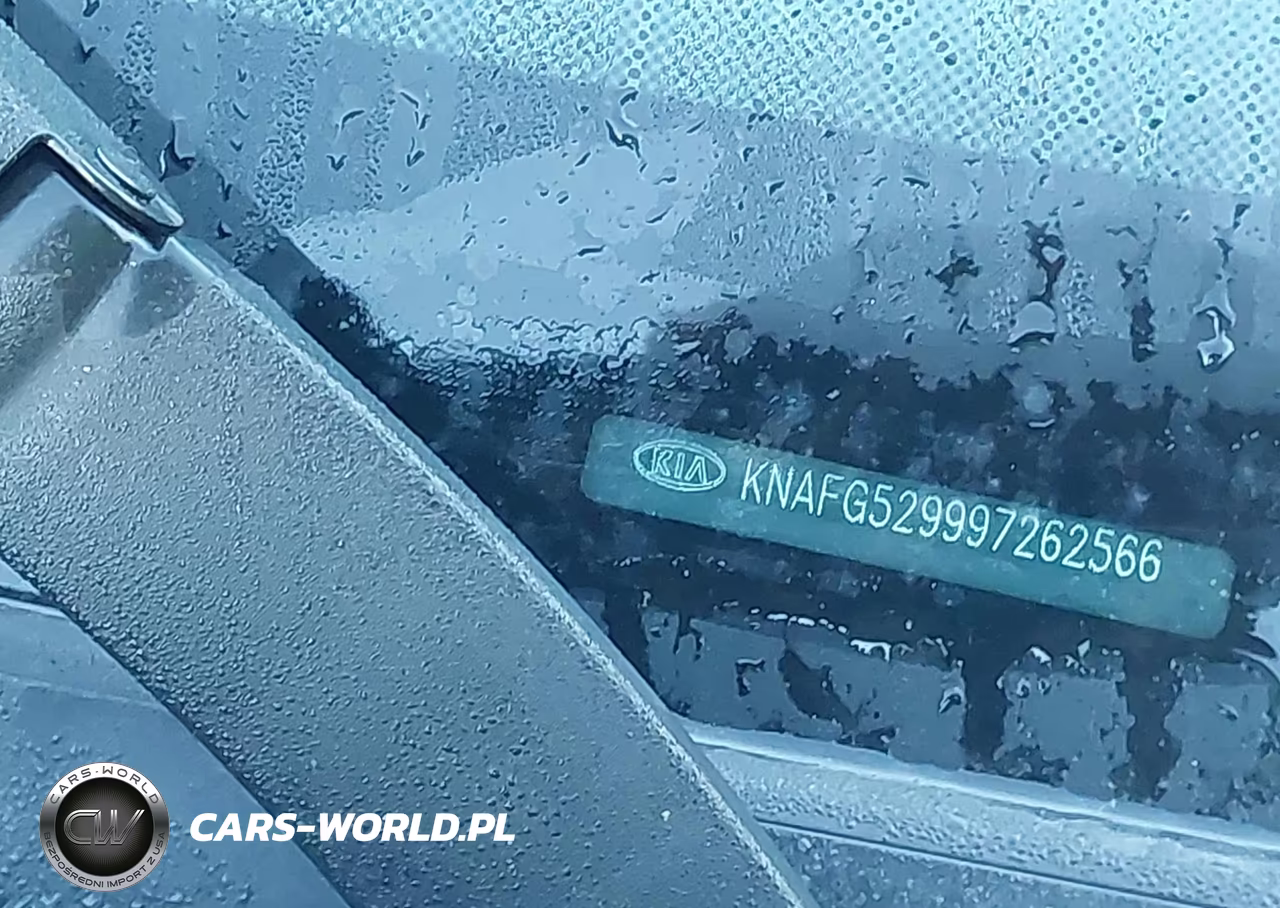 2009 Kia Rondo Lx VIN:KNAFG529997262566 - 17