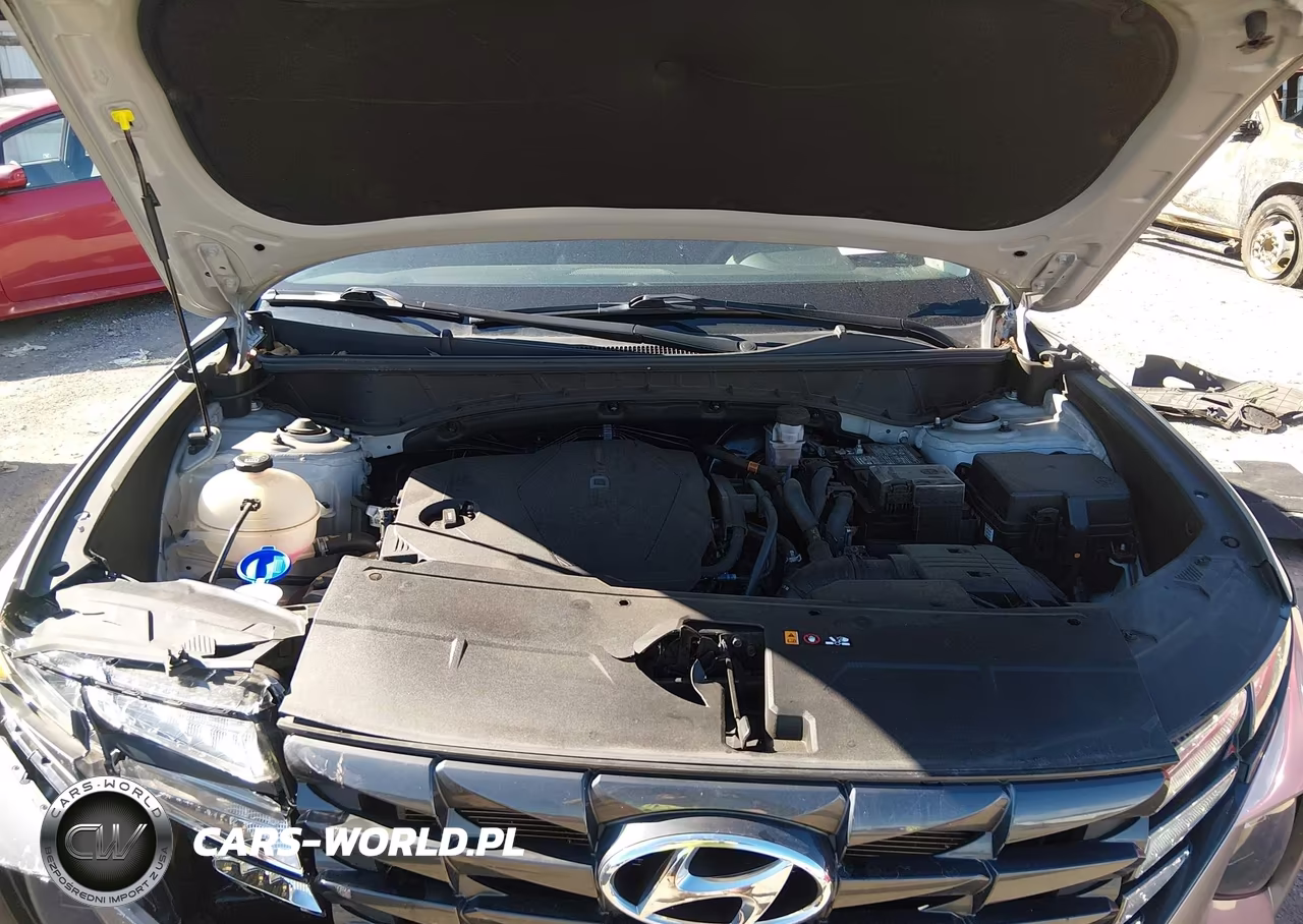 2023 Hyundai Tucson Sel VIN:5NMJB3AE9PH241348 - 10