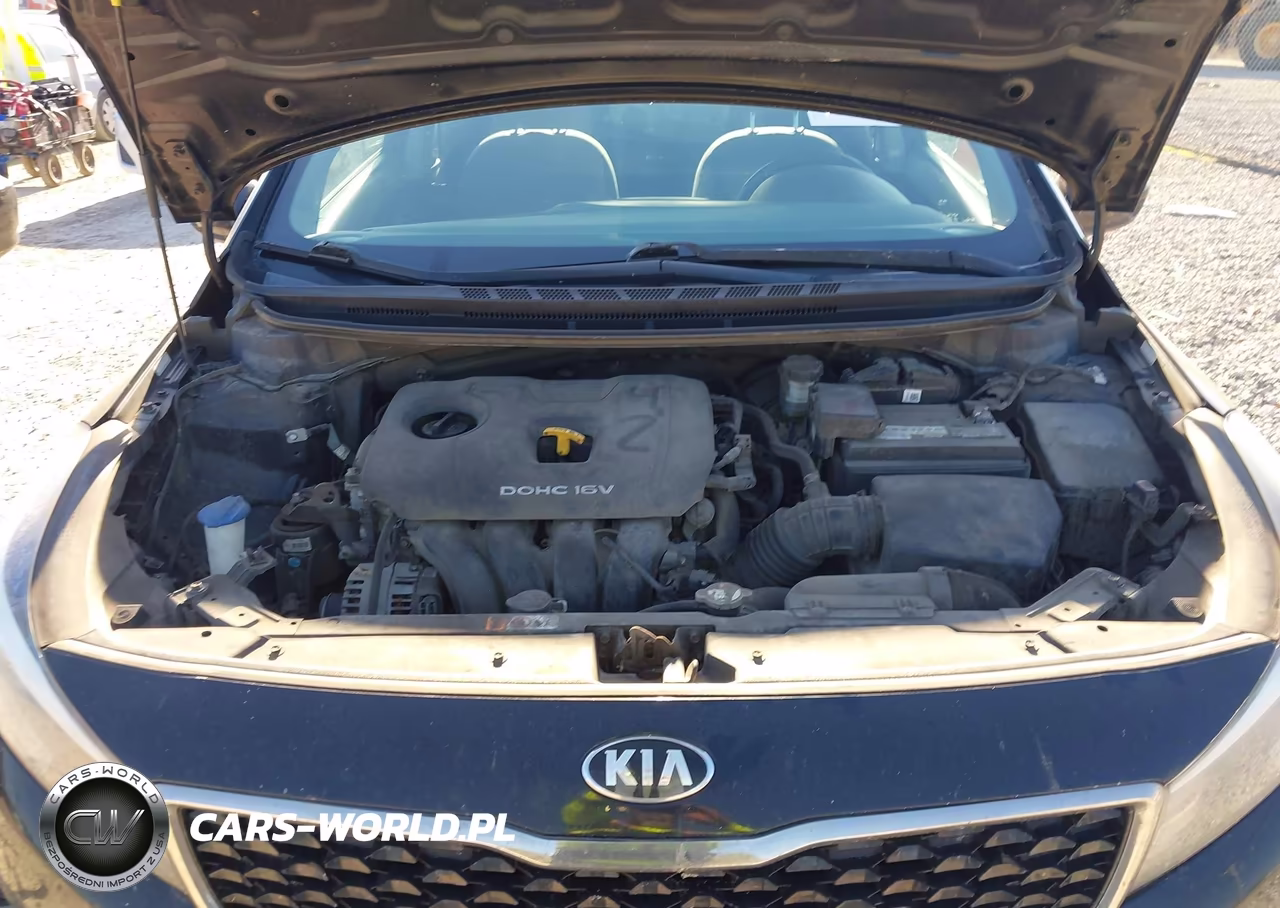 2017 Kia Forte Lx VIN:3KPFL4A78HE067663 - 10