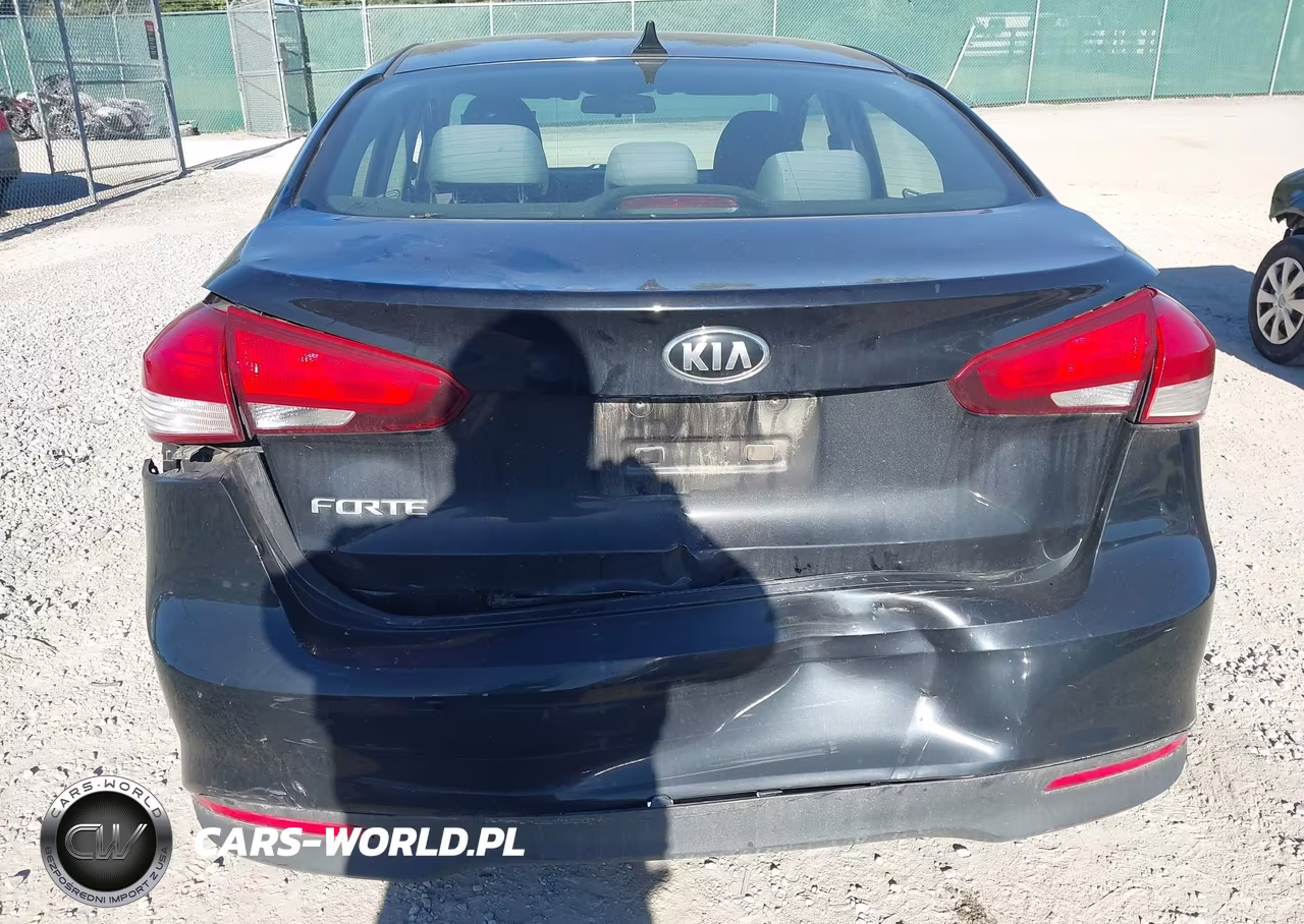 2017 Kia Forte Lx VIN:3KPFL4A78HE067663 - 6