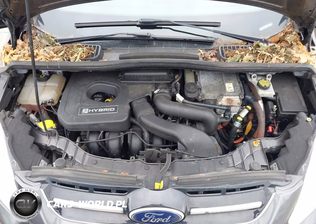 2015 Ford C-Max Hybrid Se VIN:1FADP5AU1FL125033 - 10