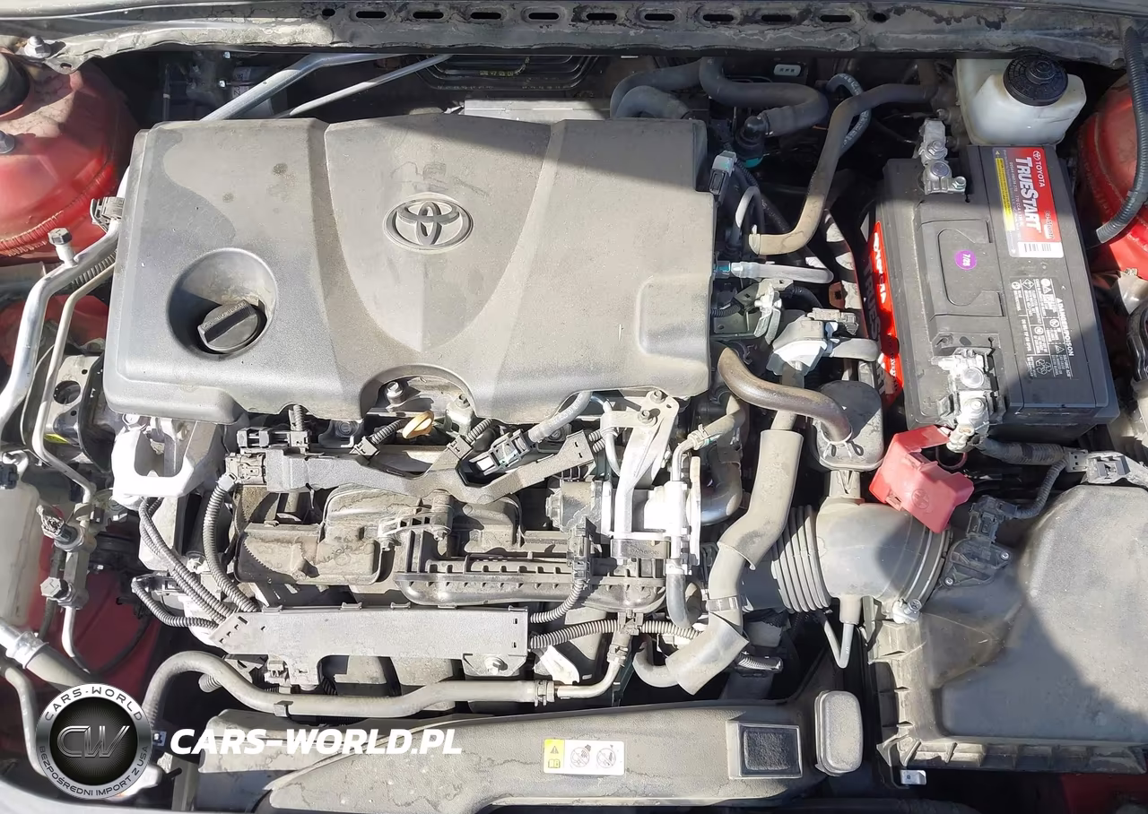 2019 Toyota Camry Xse VIN:4T1B61HK8KU165756 - 10