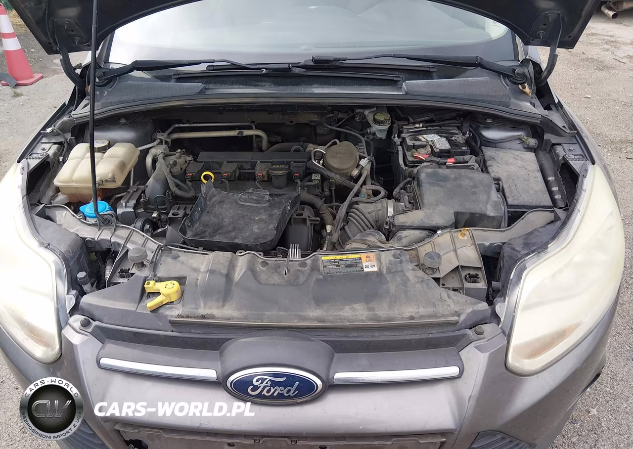 2013 Ford Focus Se VIN:1FADP3F29DL364032 - 10