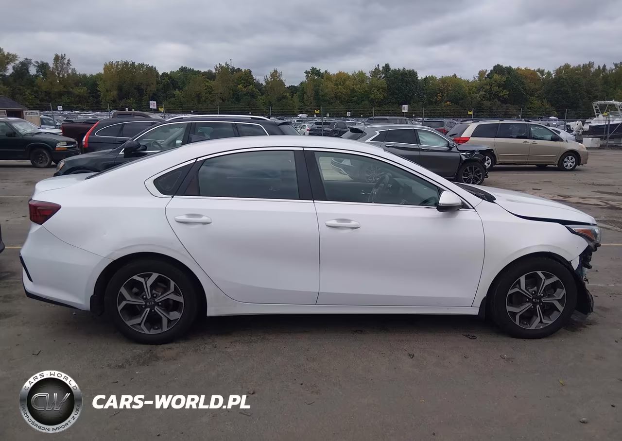 2020 Kia Forte Ex VIN:3KPF54AD8LE146825 - 13
