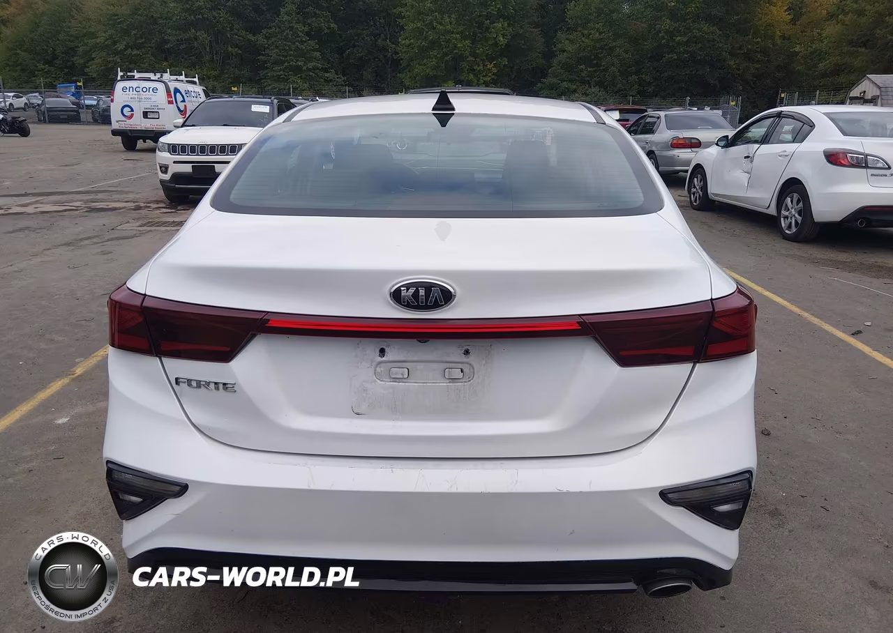 2020 Kia Forte Ex VIN:3KPF54AD8LE146825 - 16