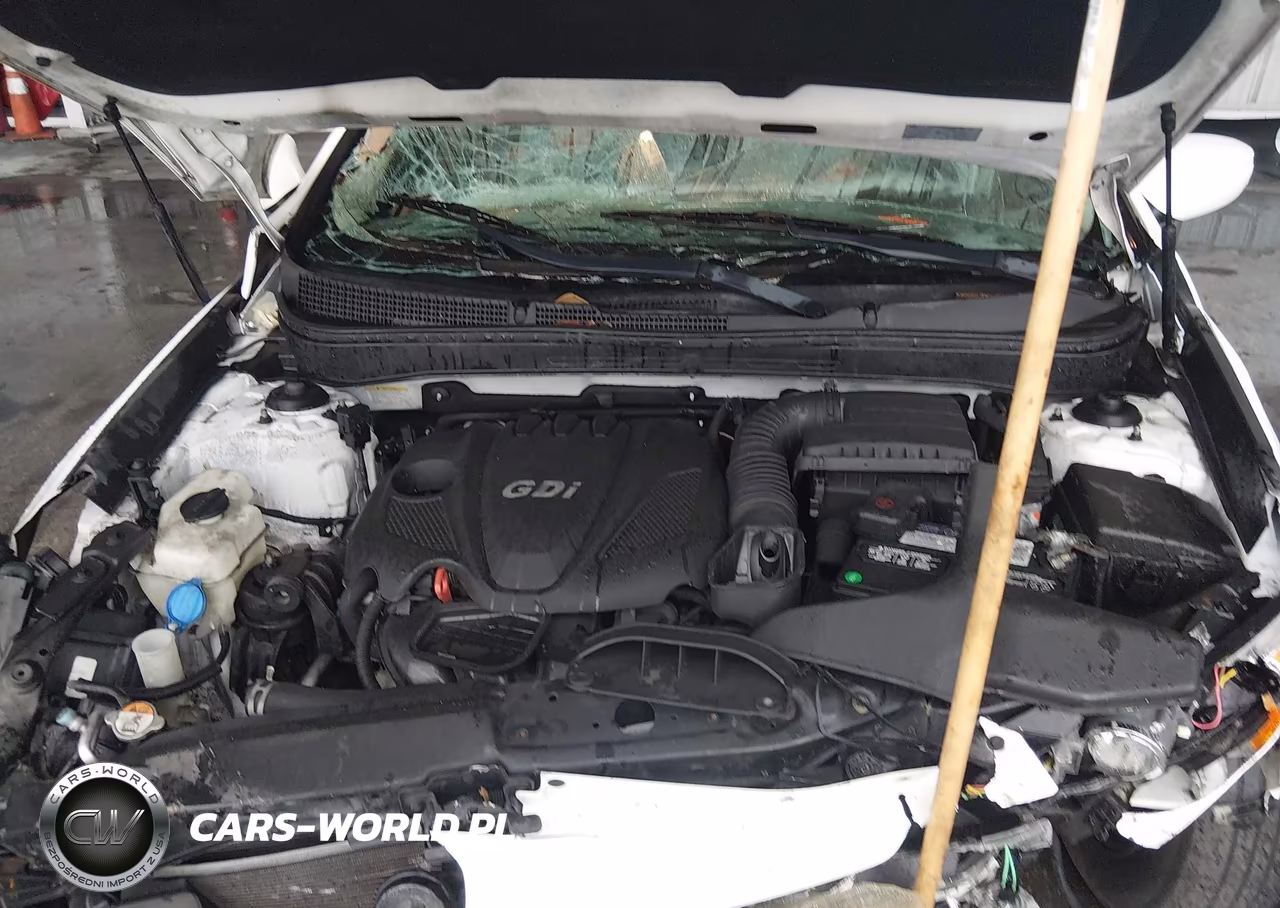 2013 Hyundai Sonata Gls VIN:5NPEB4AC4DH616972 - 10
