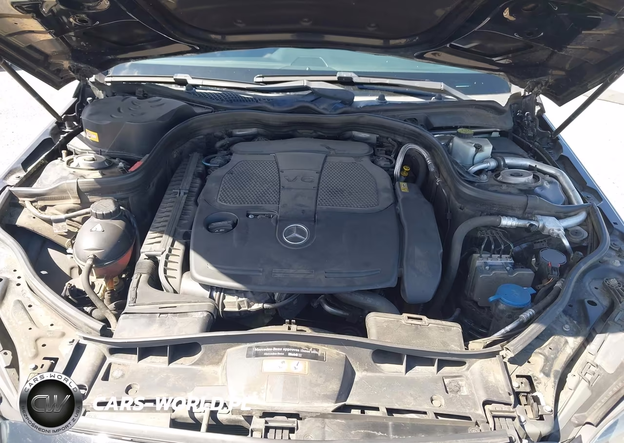 2016 Mercedes-Benz E 350 VIN:WDDHF5KB2GB250499 - 10