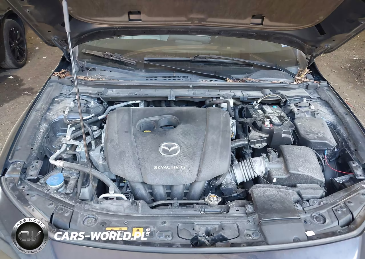 2019 Mazda Mazda3 VIN:JM1BPBJM4K1122665 - 10