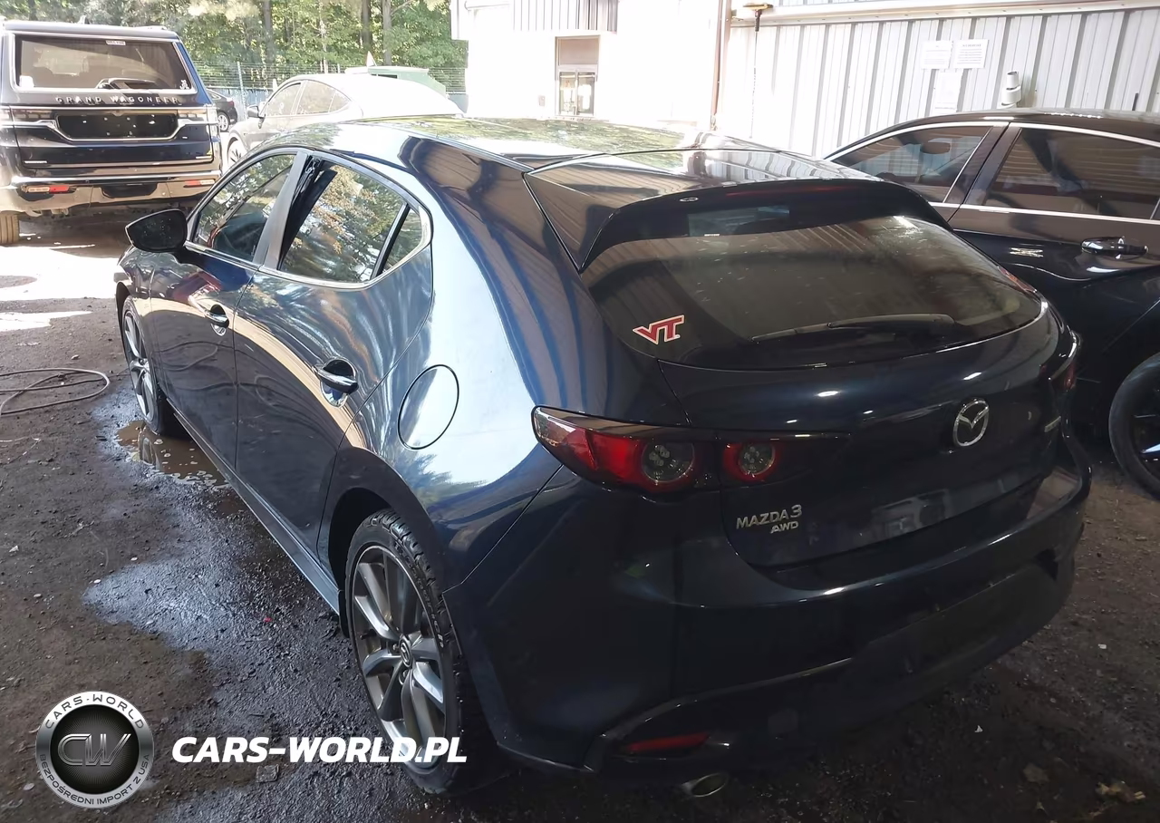 2019 Mazda Mazda3 VIN:JM1BPBJM4K1122665 - 3