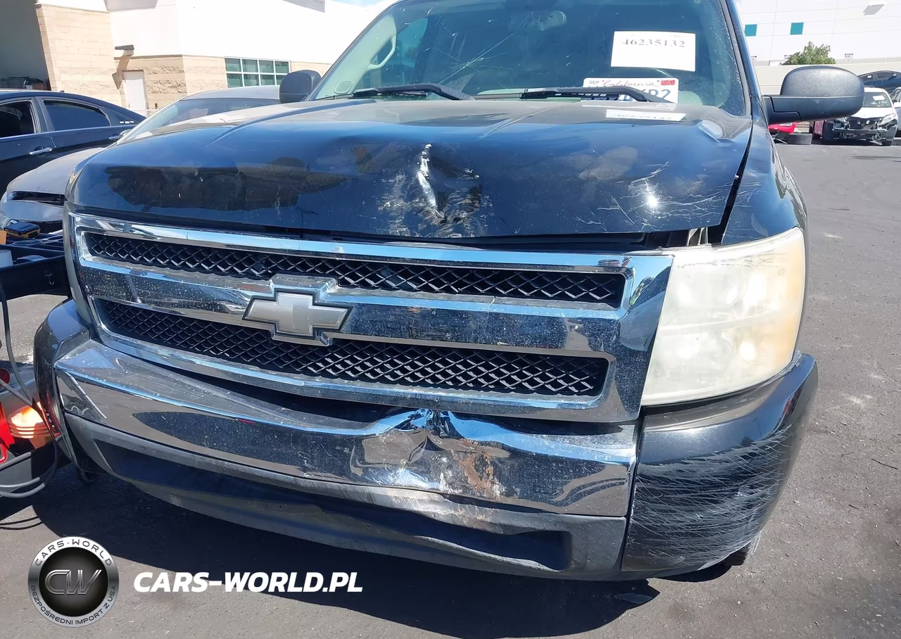 2008 Chevrolet Silverado 1500 Work Truck VIN:1GCEC19X88Z110966 - 6