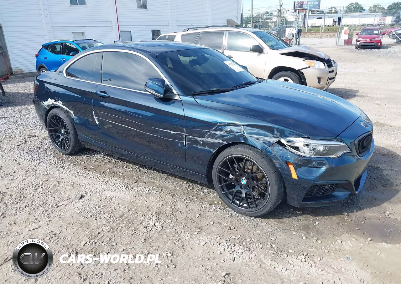 2014 BMW 228I