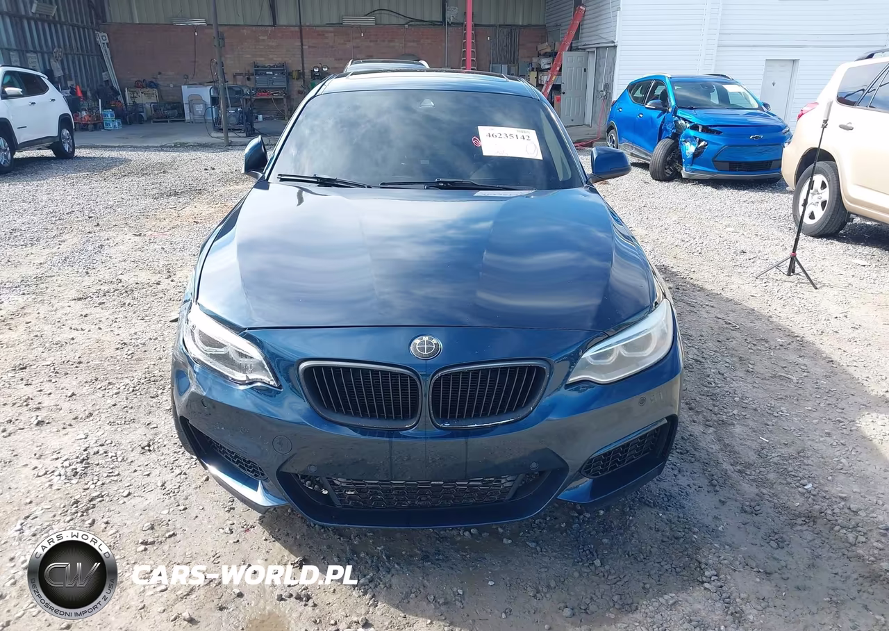 2014 BMW 228I VIN:WBA1F5C51EV255822 - 12