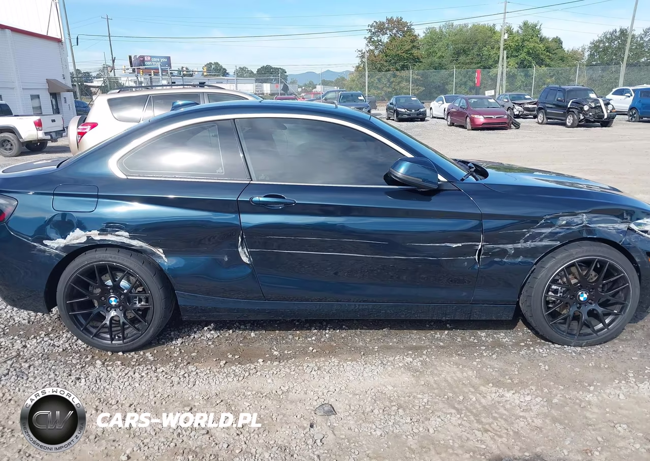 2014 BMW 228I VIN:WBA1F5C51EV255822 - 13