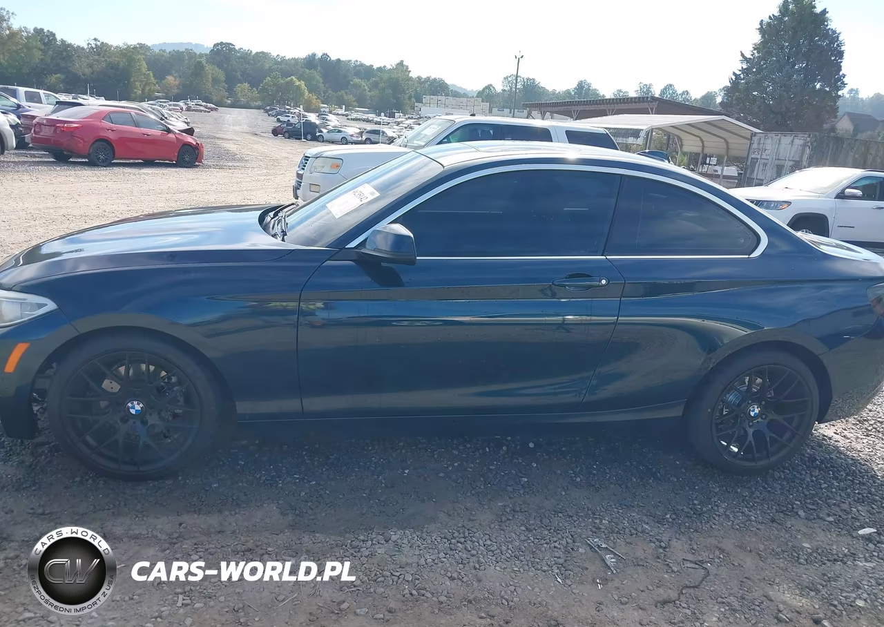 2014 BMW 228I VIN:WBA1F5C51EV255822 - 14