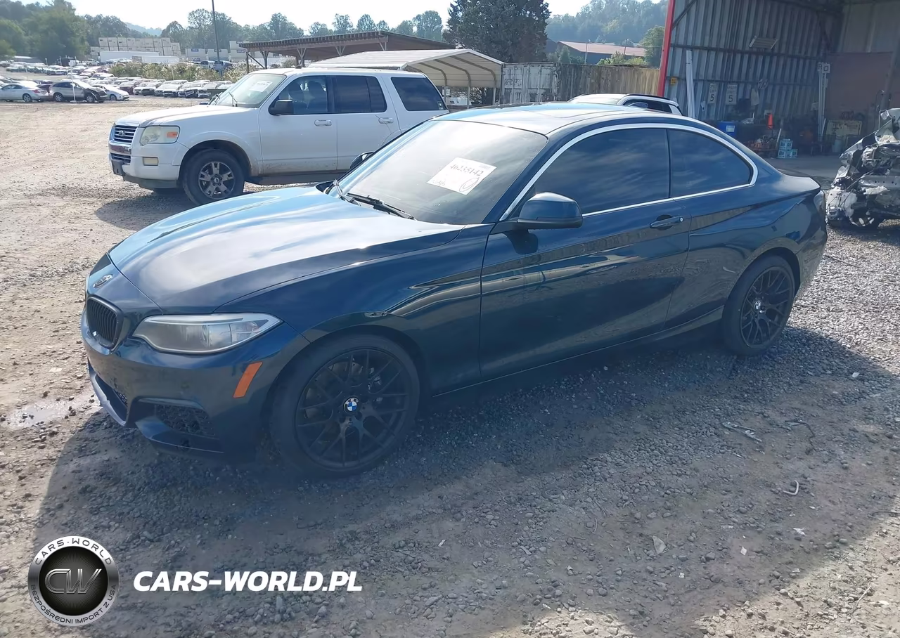 2014 BMW 228I VIN:WBA1F5C51EV255822 - 2