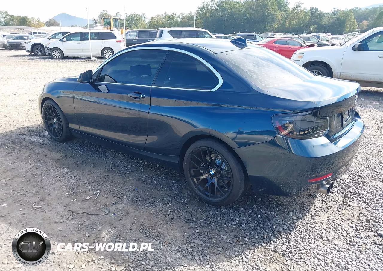 2014 BMW 228I VIN:WBA1F5C51EV255822 - 3