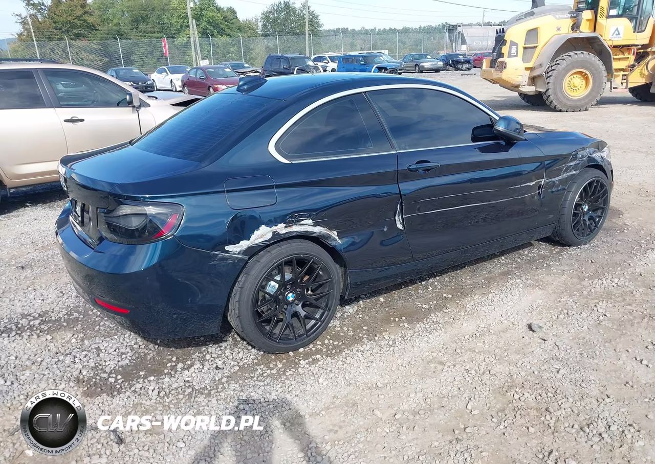 2014 BMW 228I VIN:WBA1F5C51EV255822 - 4