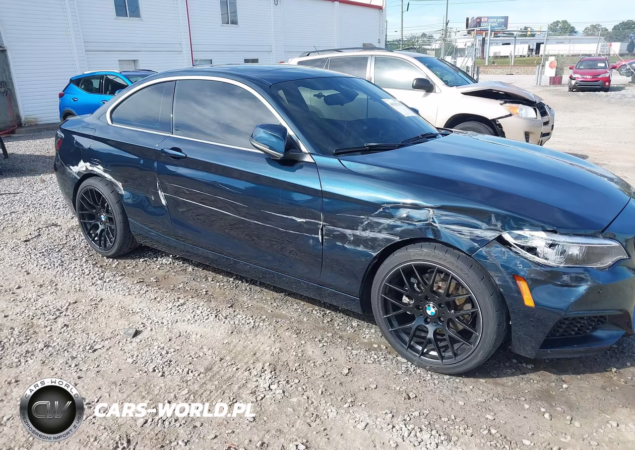 2014 BMW 228I VIN:WBA1F5C51EV255822 - 6