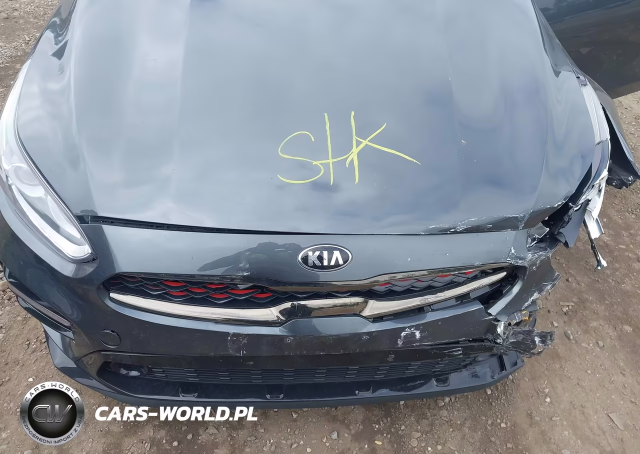 2021 Kia Forte Gt-Line VIN:3KPF34AD6ME341622 - 10