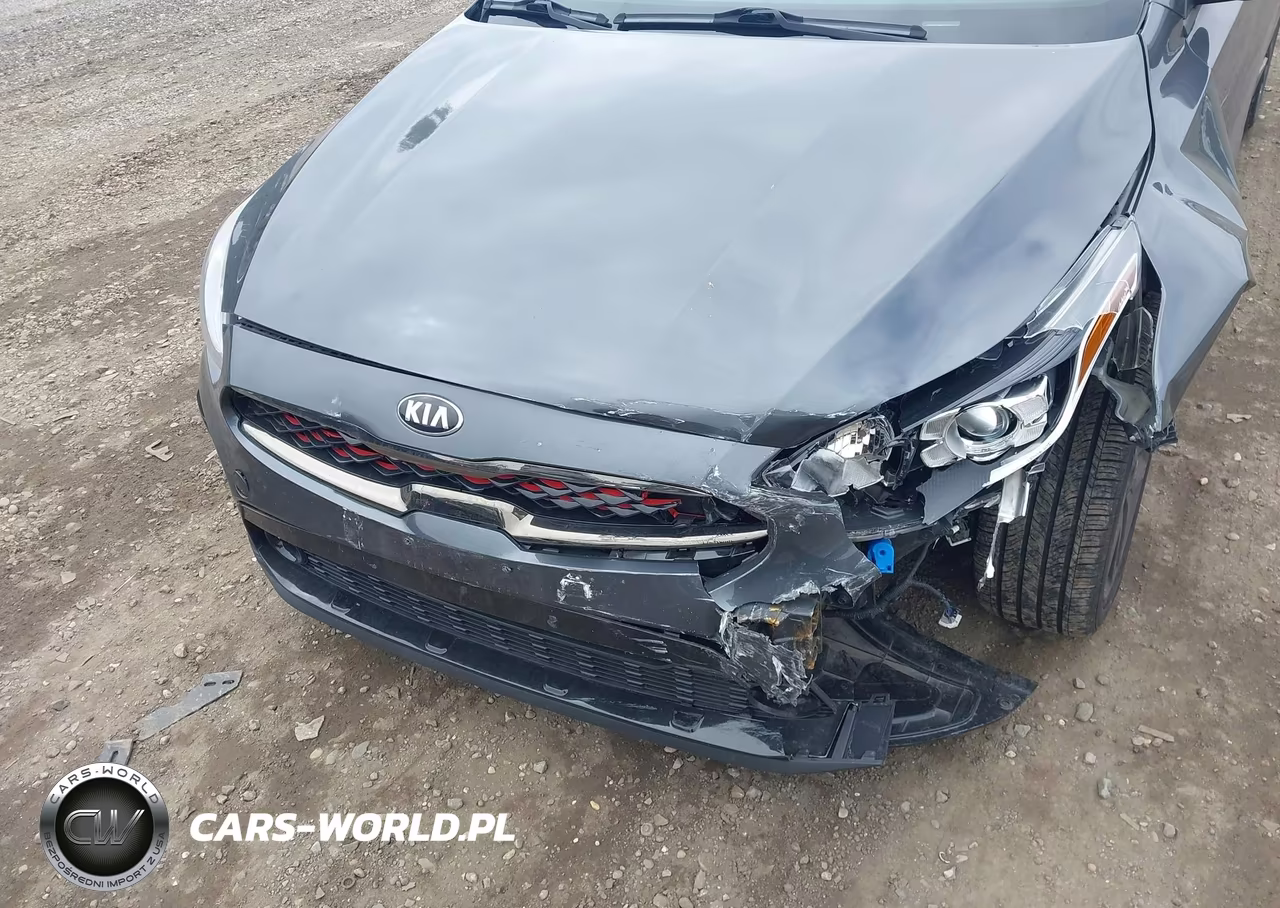 2021 Kia Forte Gt-Line VIN:3KPF34AD6ME341622 - 6