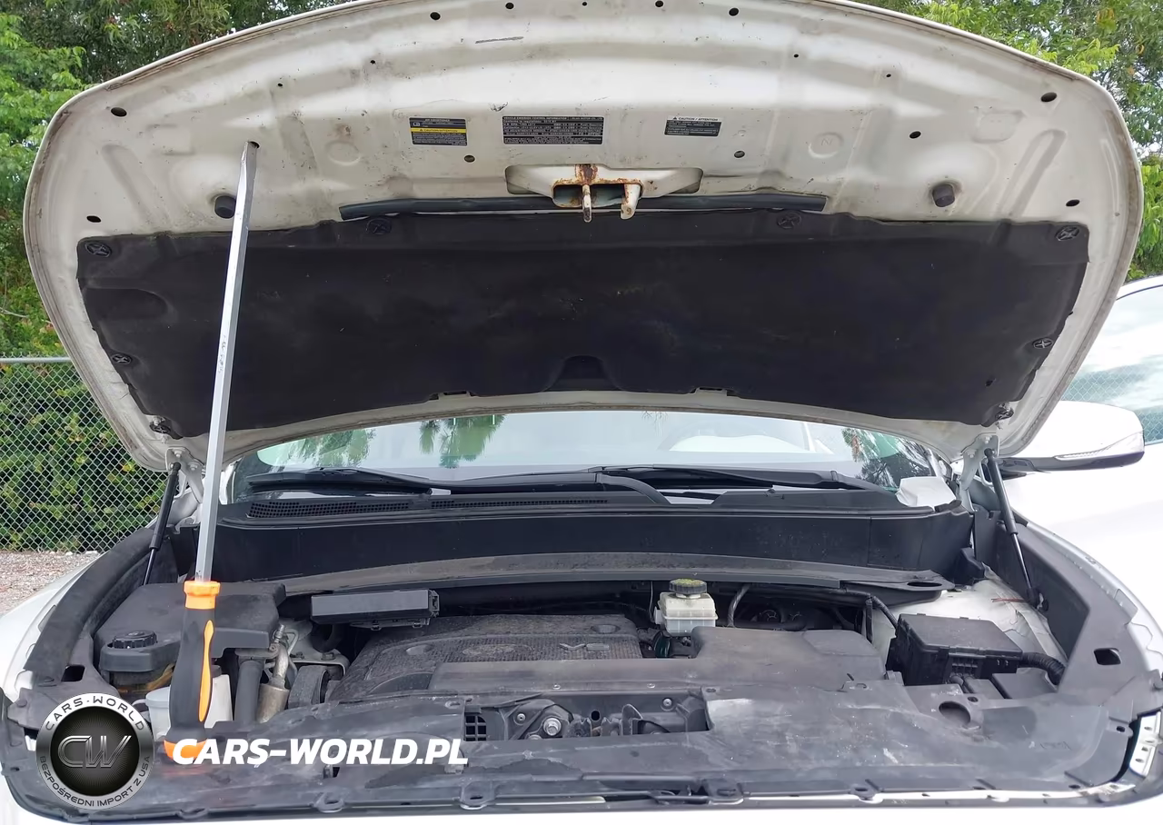 2016 Infiniti Qx60 VIN:5N1AL0MN0GC522729 - 10