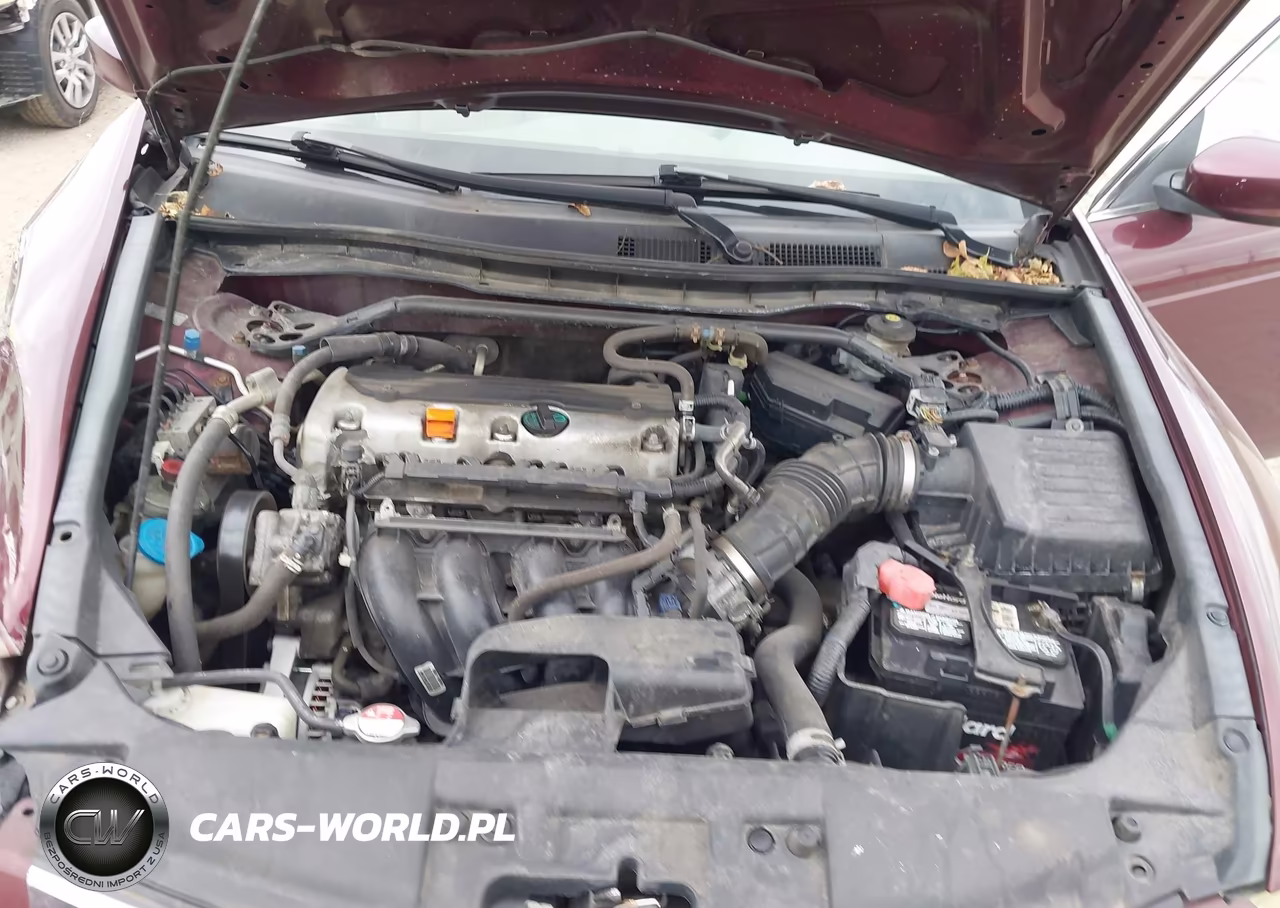 2010 Honda Accord 2.4 Ex-L VIN:1HGCP2F86AA014838 - 10