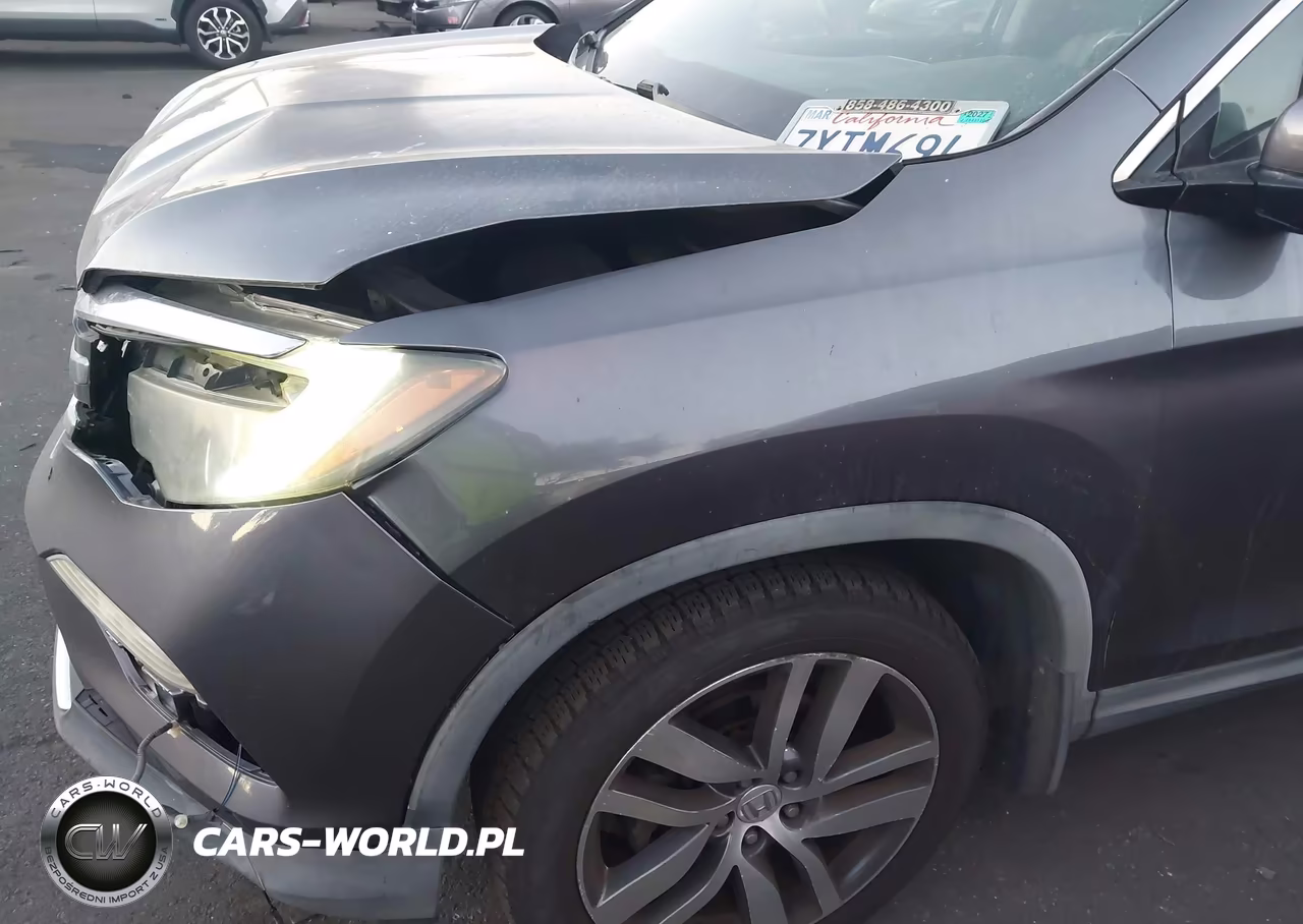 2017 Honda Pilot Elite VIN:5FNYF6H01HB015774 - 18
