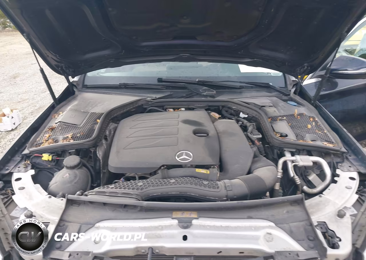 2019 Mercedes-Benz C 300 4Matic VIN:55SWF8EB2KU289838 - 10